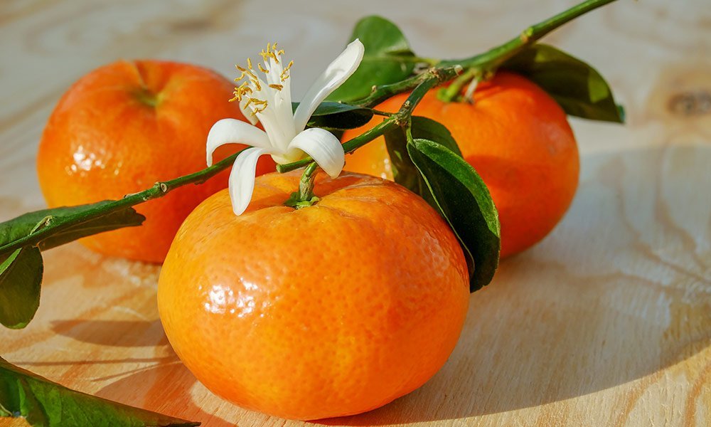 Édes narancs 